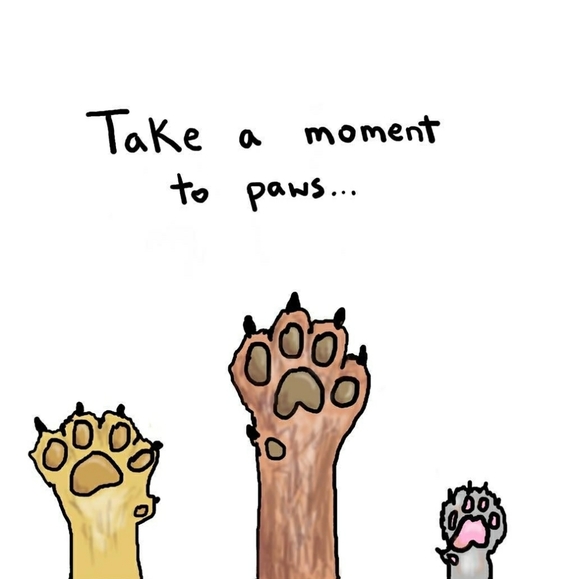 Meet your Posher, Alix - Picture 3 of 11